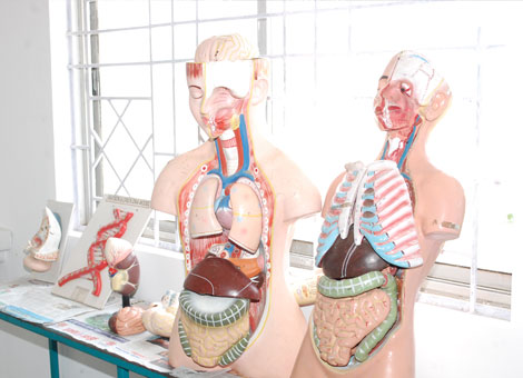 Mother Terasa College of Nursing