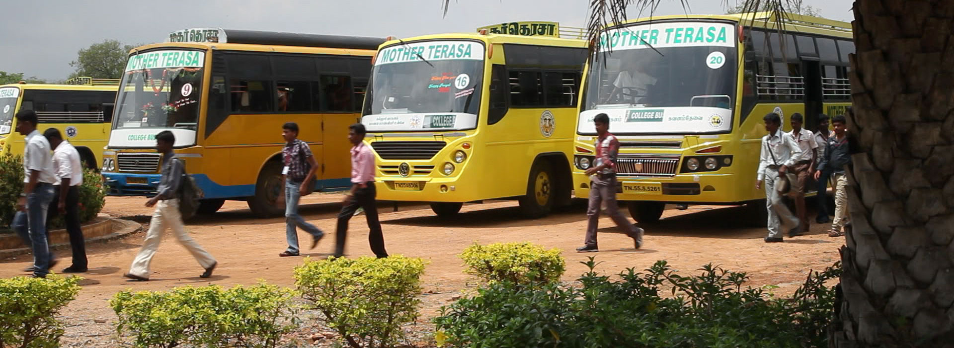 Mother Terasa College of Nursing